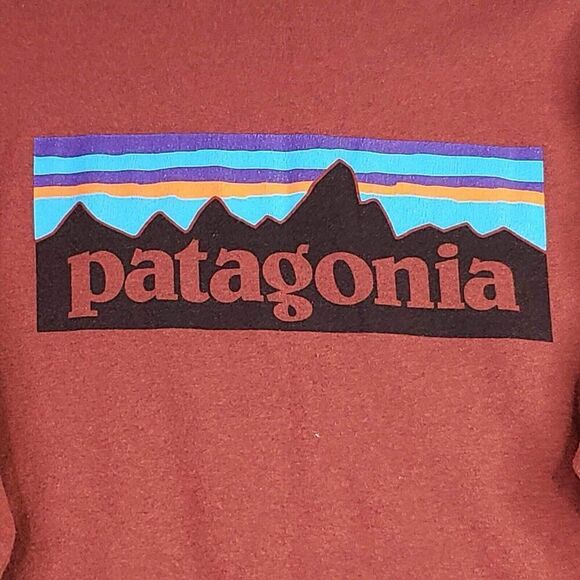 Patagonia Shirt Men's Size Medium Long Sleeve Organic Cotton Mountains - Picture 8 of 9